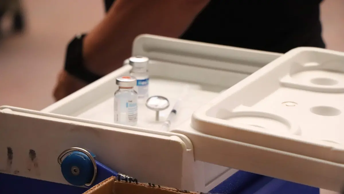 VACUNAS-ENFERMEDADES-TRATAMIENTO