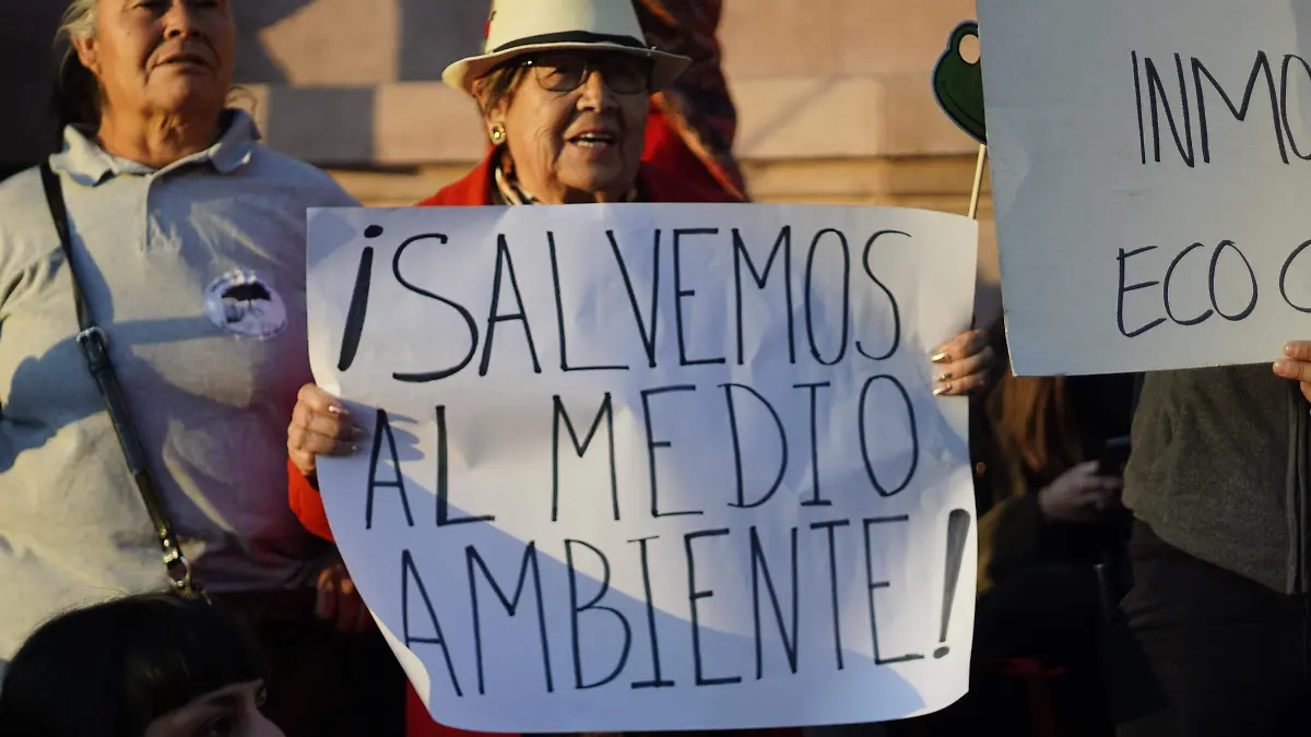 RANA DE MADRIGUERA 4