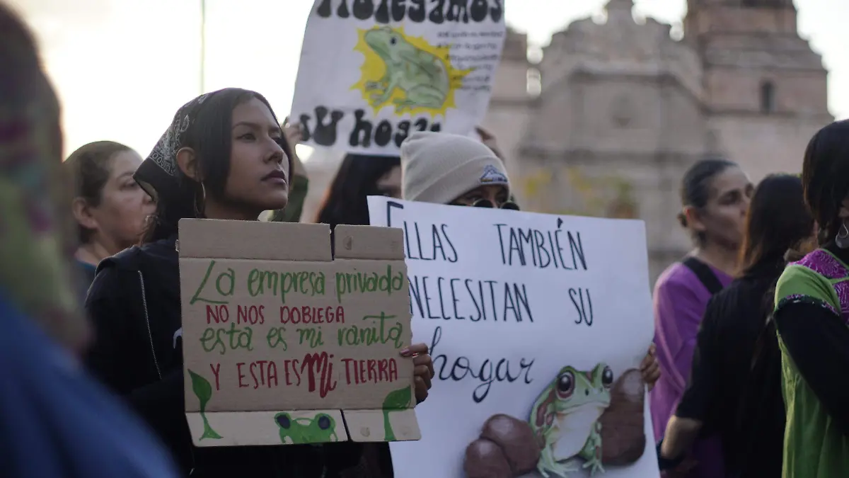 RANA DE MADRIGUERA 8