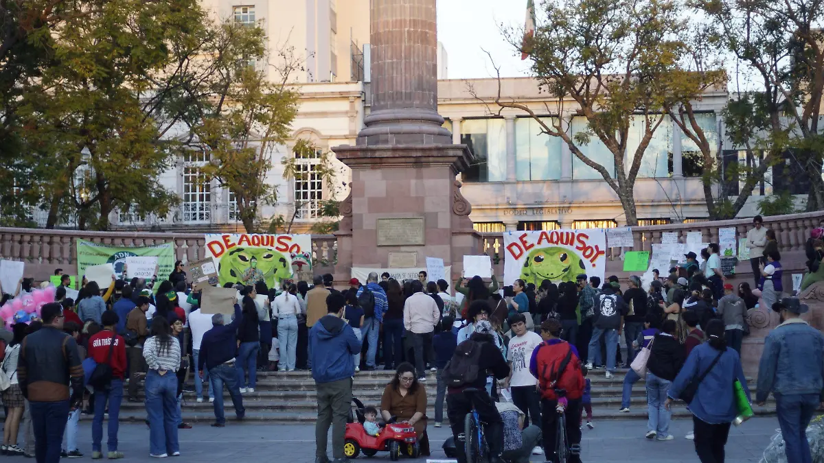 RANA DE MADRIGUERA 9