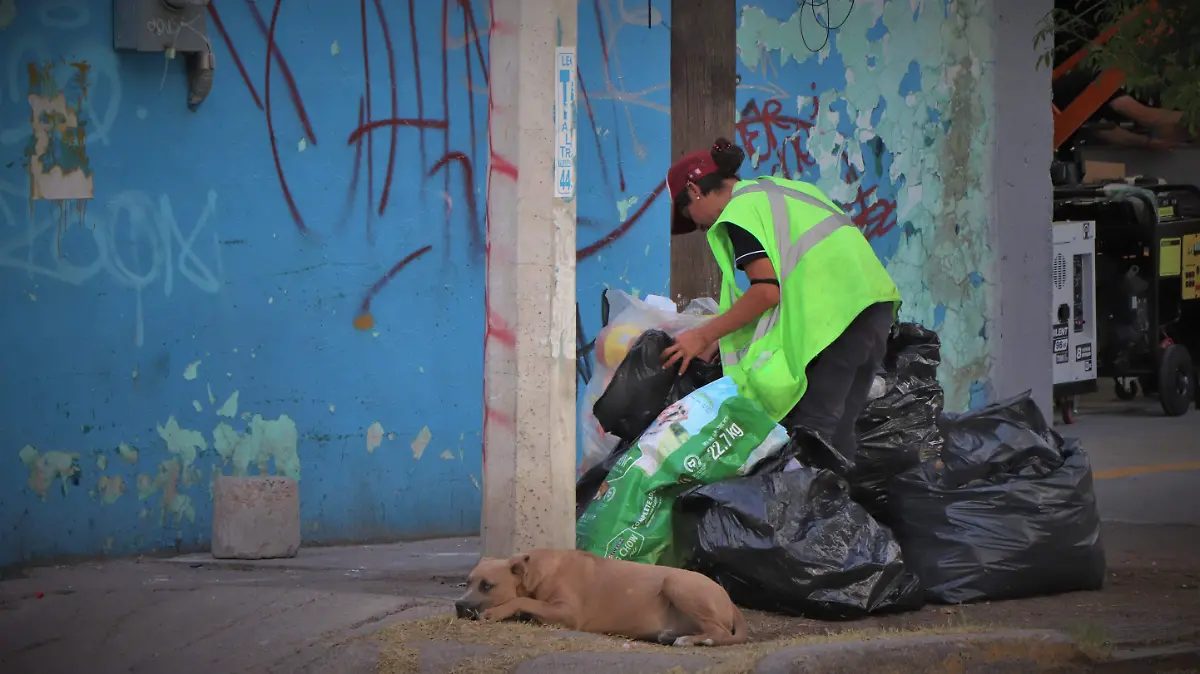 EMPLEO INFORMAL-TRABAJOS-AGUASCALIENTES