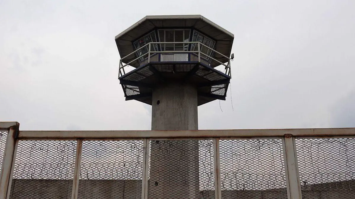 PRISIÓN-DELITOS-PANORAMA LEGAL