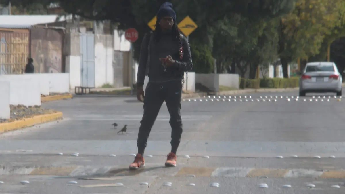 PATRIA-INSTITUTO NACIONAL DE MIGRACIÓN-MIGRANTE