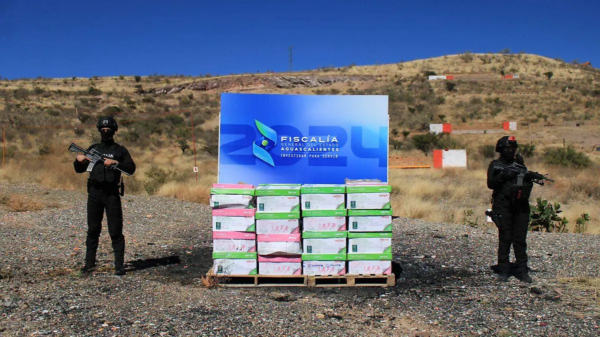 QUEMA NARCOTICOS-SUSTANCIAS ILÍCITAS