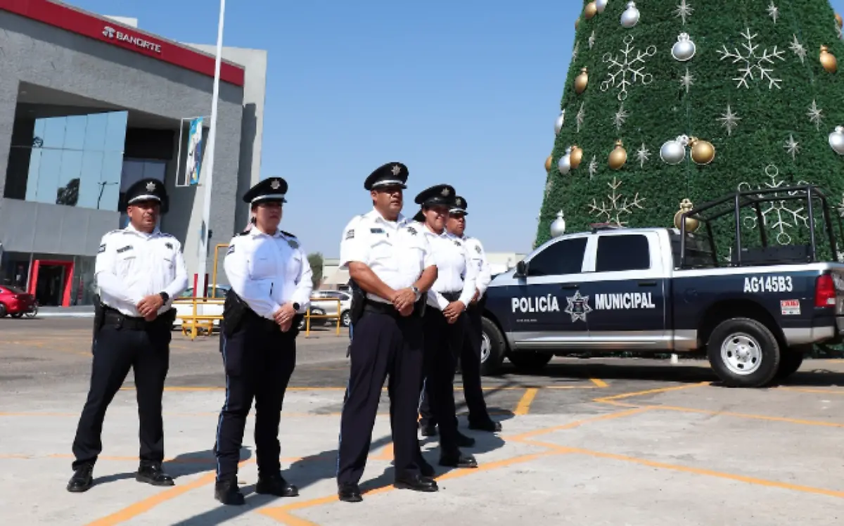 Captura de pantalla 2024-12-01 a la(s) 12.09.19