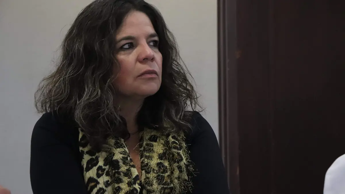 Arentsen Dávila, presidente de la CMIC