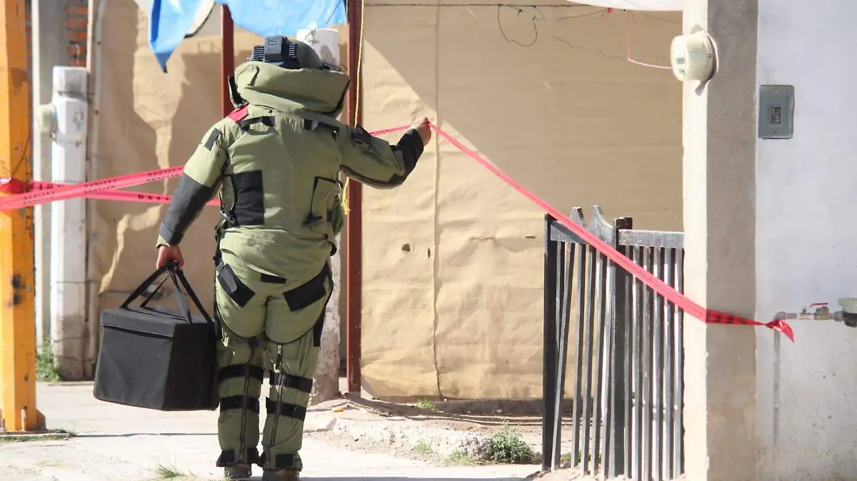 WhatsApp Image 2024-12-02 at 2.20.52 PM