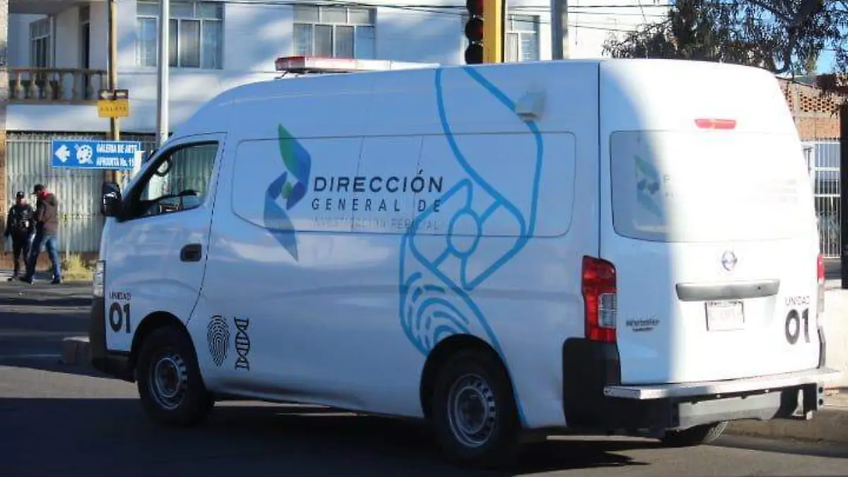 WhatsApp Image 2024-12-02 at 9.24.17 PM