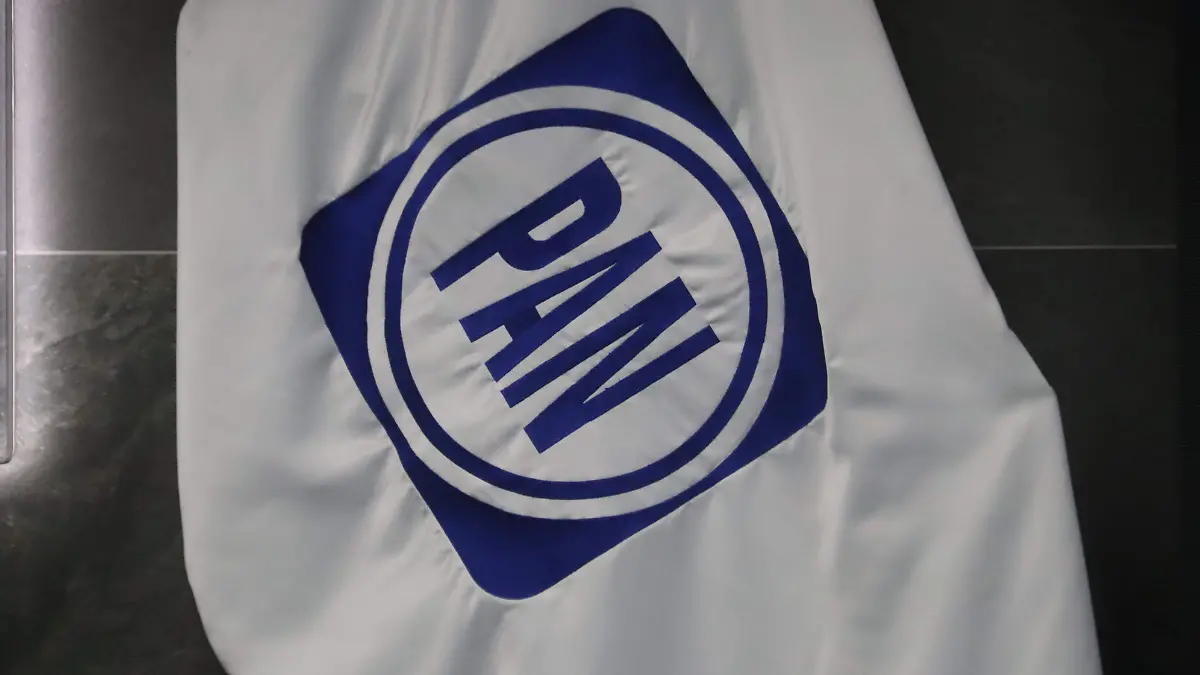 SENADORES-PARTIDO ACCIÓN NACIONAL-AGS