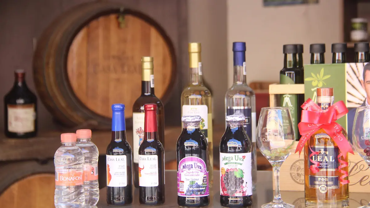 VIAJE A AGUASCALIENTES-ARTESANÍAS-AGS