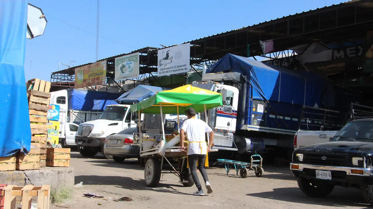 AGROPECUARIO (2)