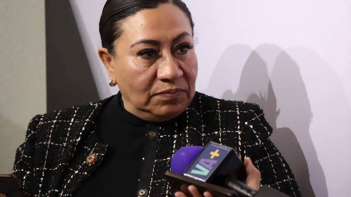 DIPUTADA MIRNA MEDINA