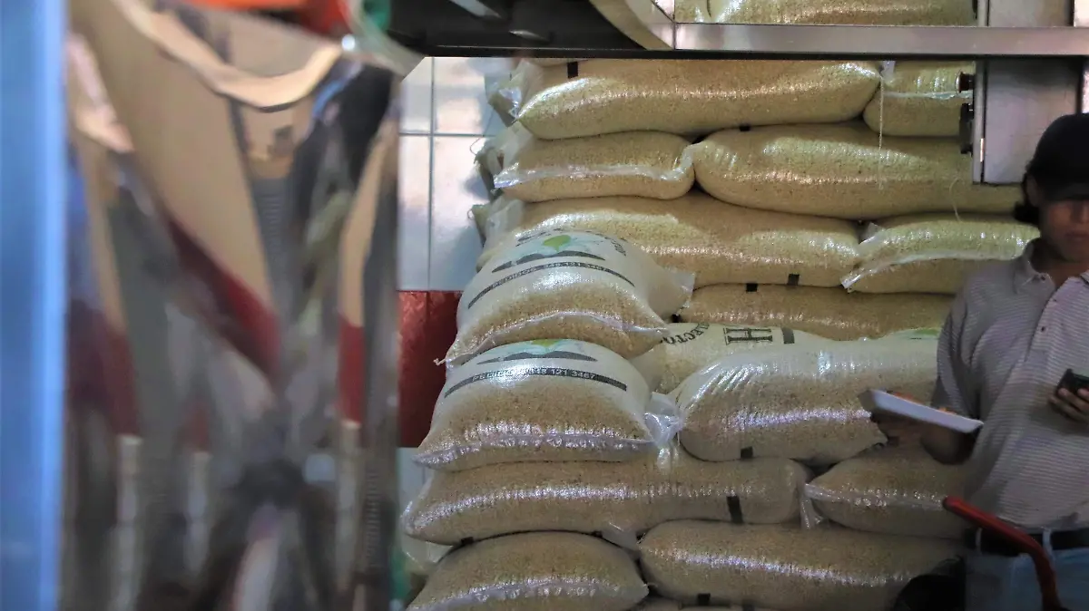 MAIZ-PRODUCCIÓN-CAMPO