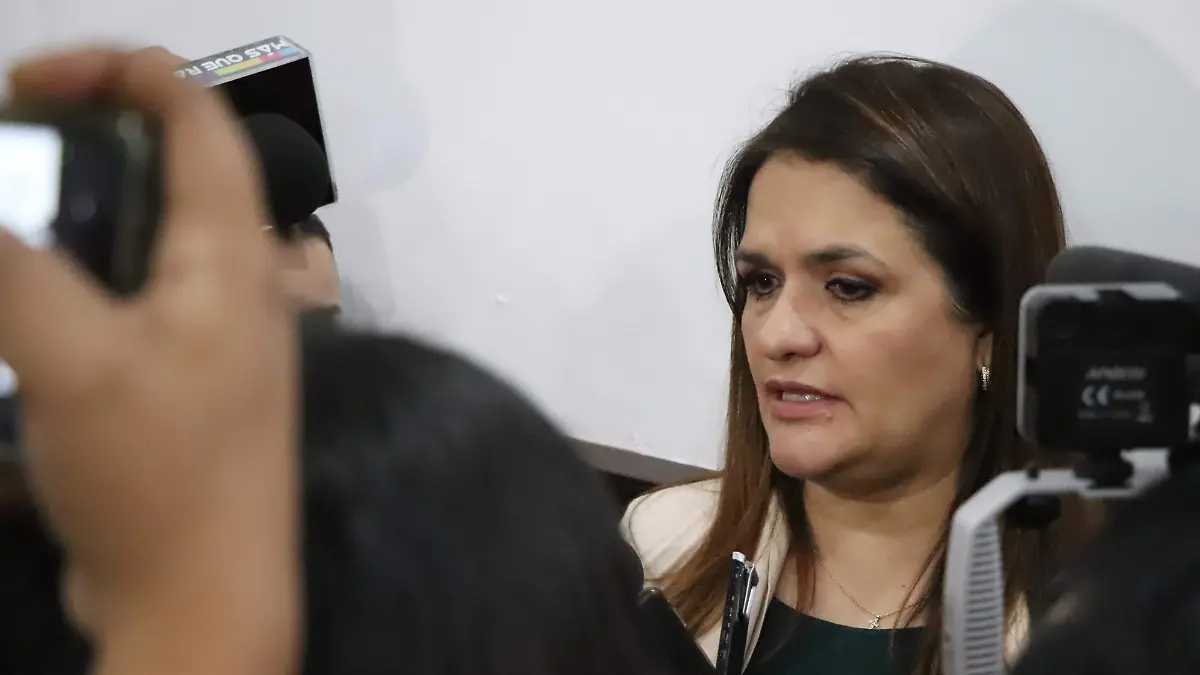 DIPUTADA ALMA HILDA MEDINA