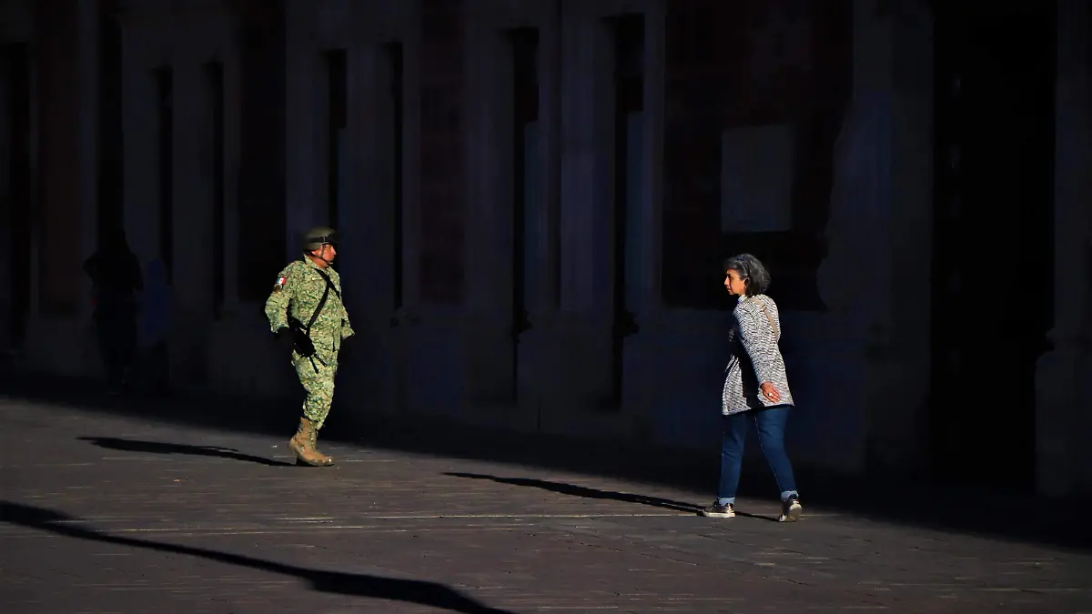 EJERCITO MEXICANO-SEDENA-MX