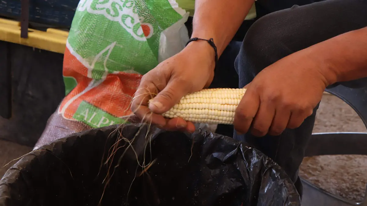 FESTIVAL DE LA CHASKA_ELOTE_AGS