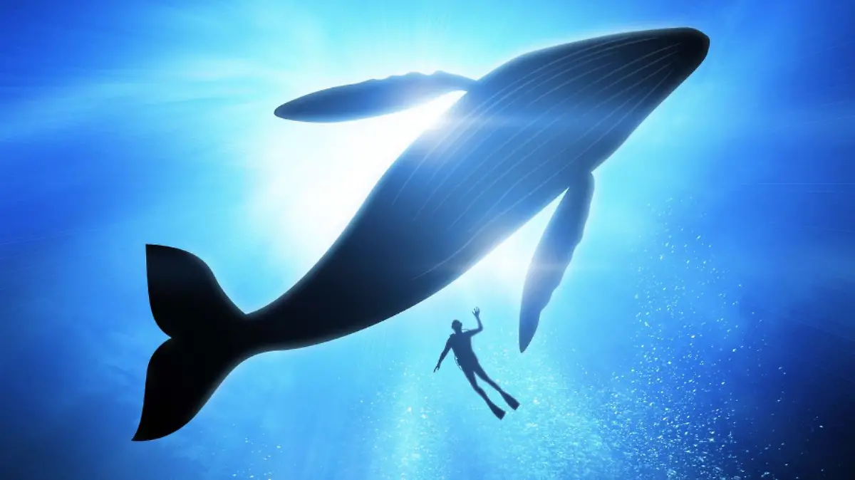 BALLENAS-CANTOS-OCÉANO