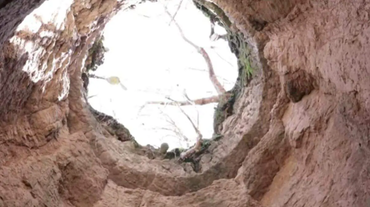 TÚNEL MANGUILLAS-CALVILLO