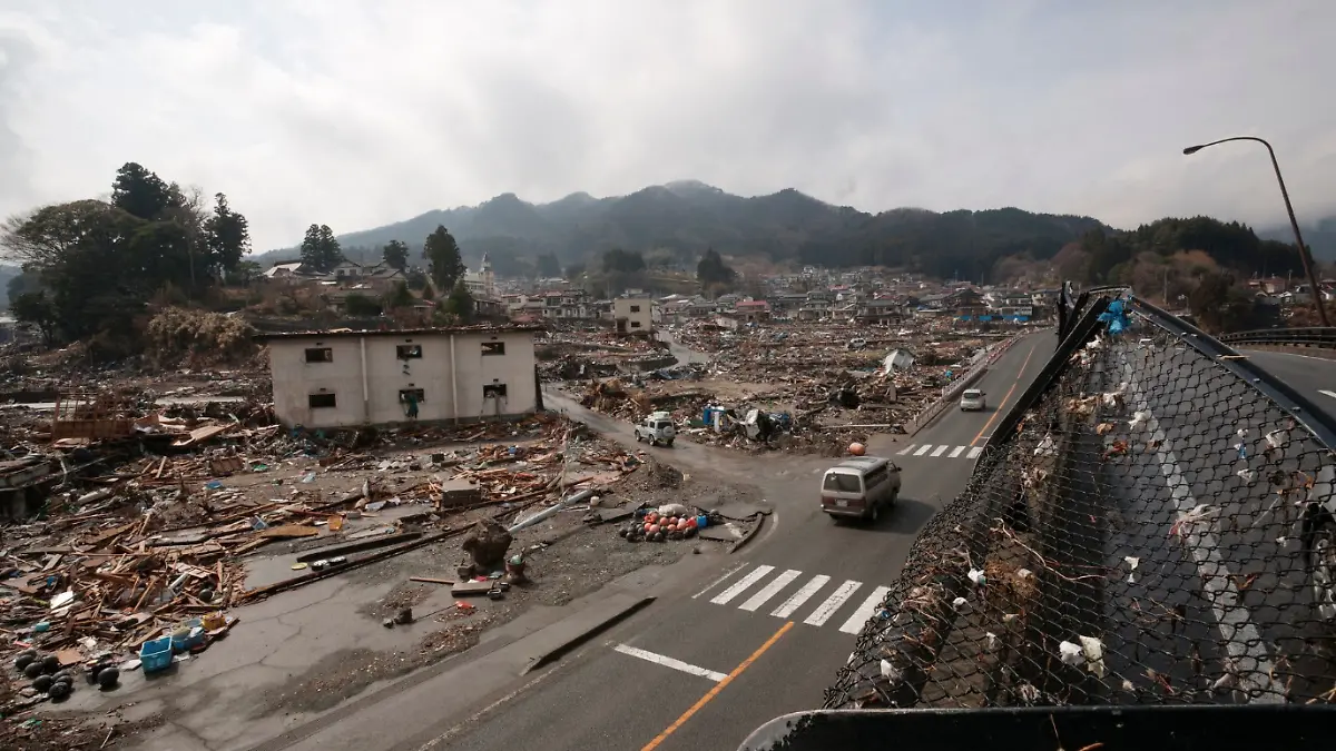TERREMOTO-JAPÓN-PEZ