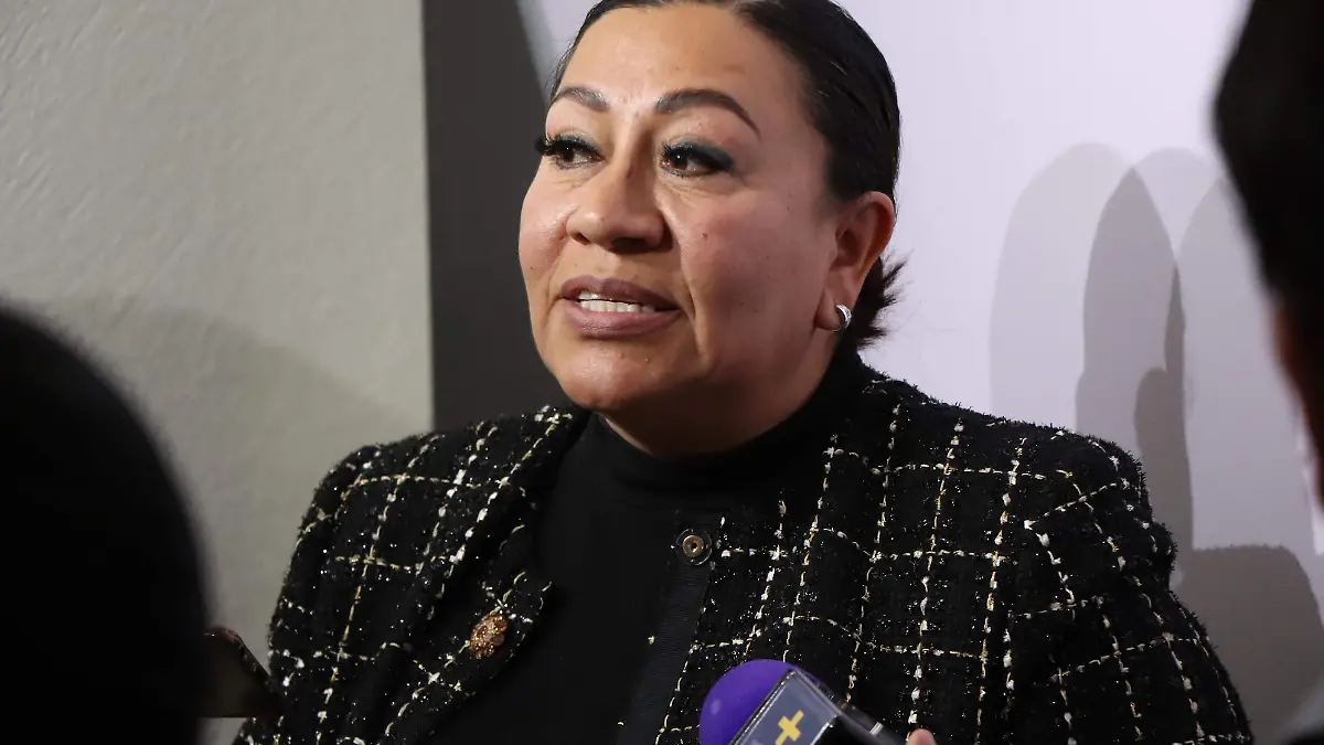 DIPUTADA MIRNA MEDINA 