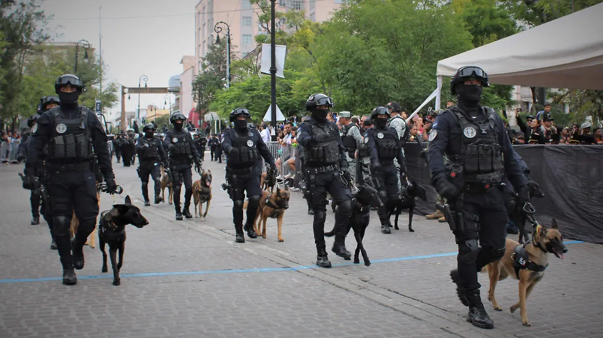 BINOMIOS CANINOS K-9-SEGURIDAD