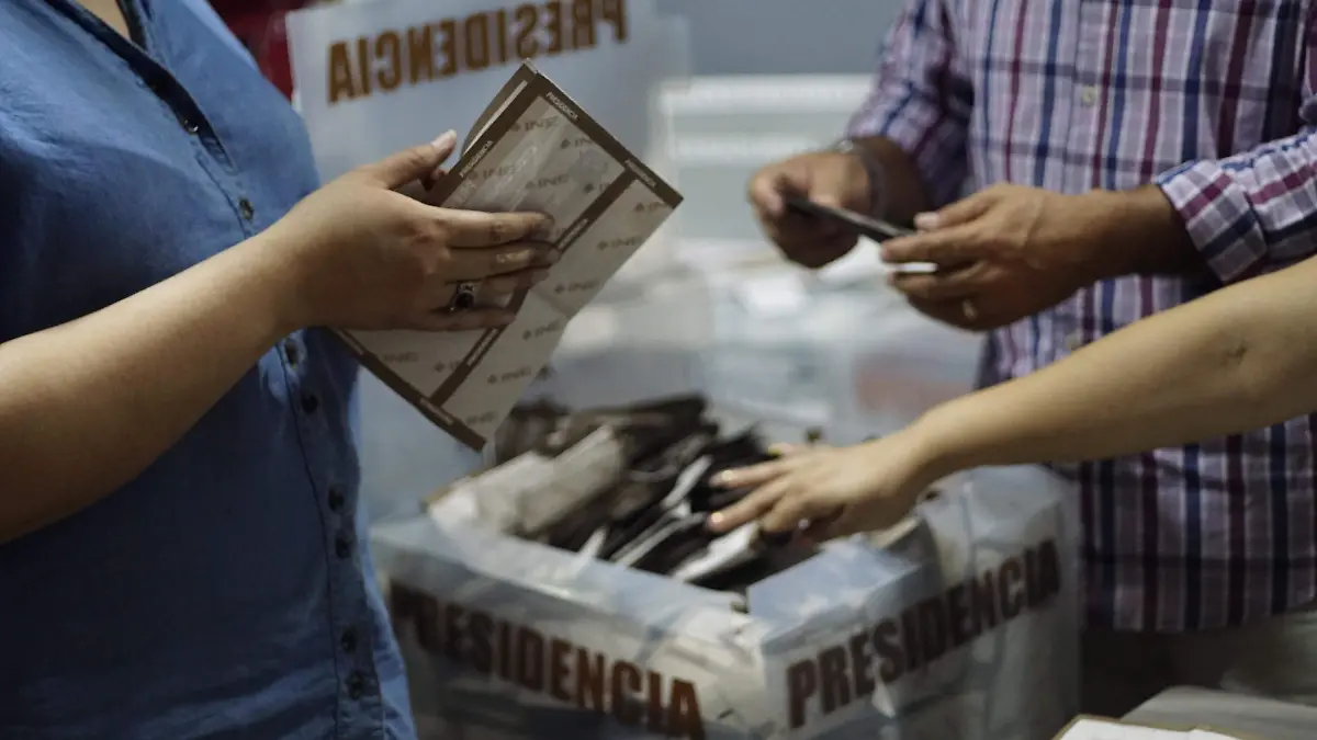 ELECCIONES (4)