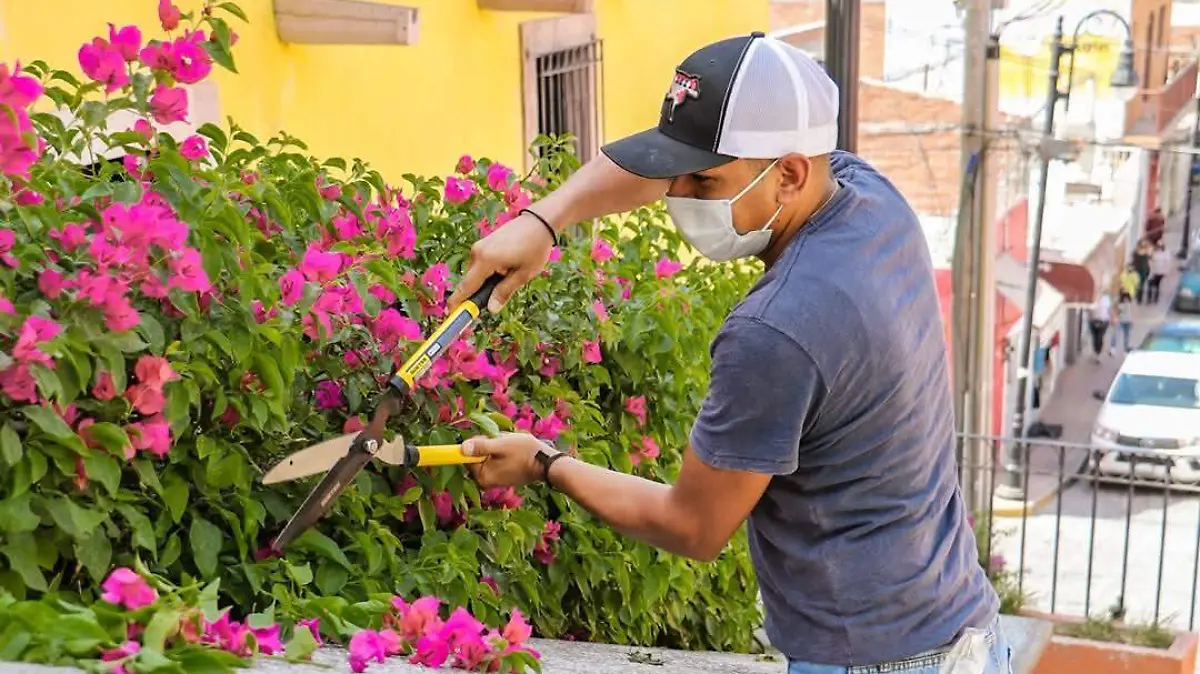 GRADITAS-CALLE-EMBLEM-ATICA-CALVILLO