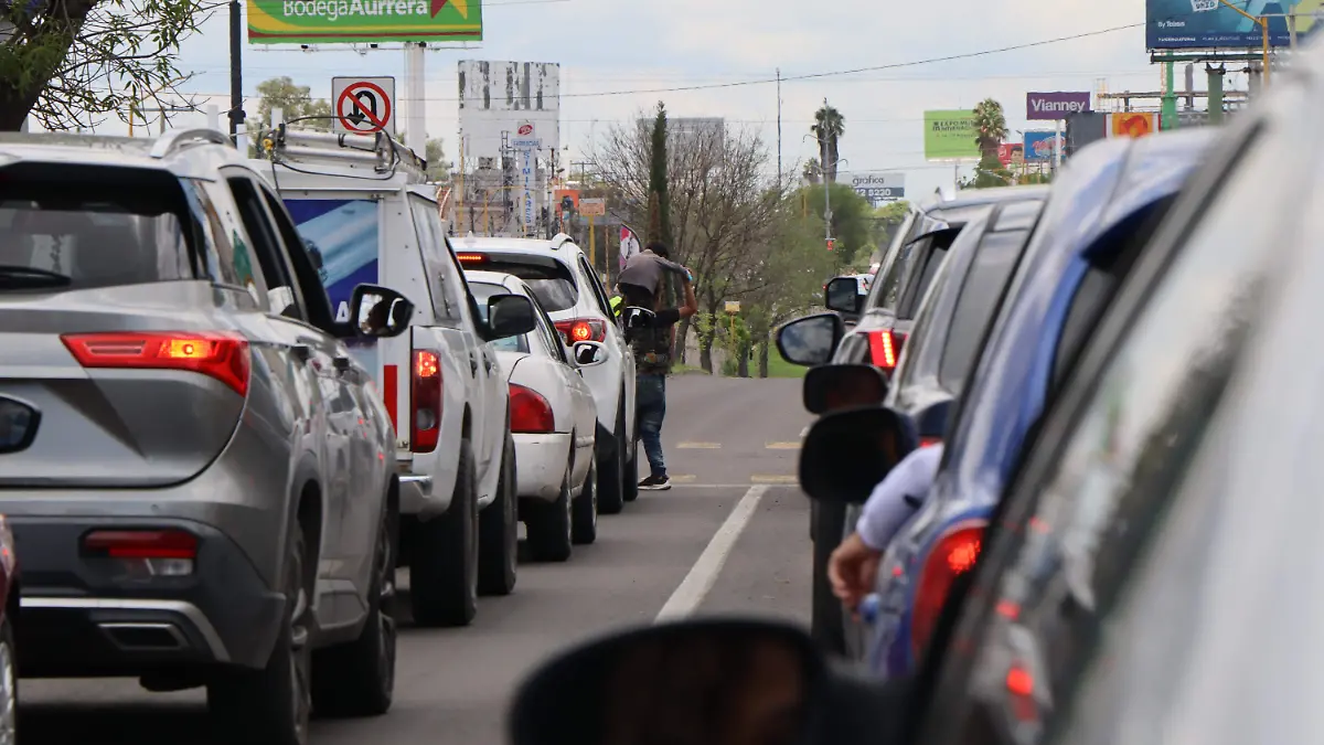PADRON VEHICULAR-PLACAS-AUTOS