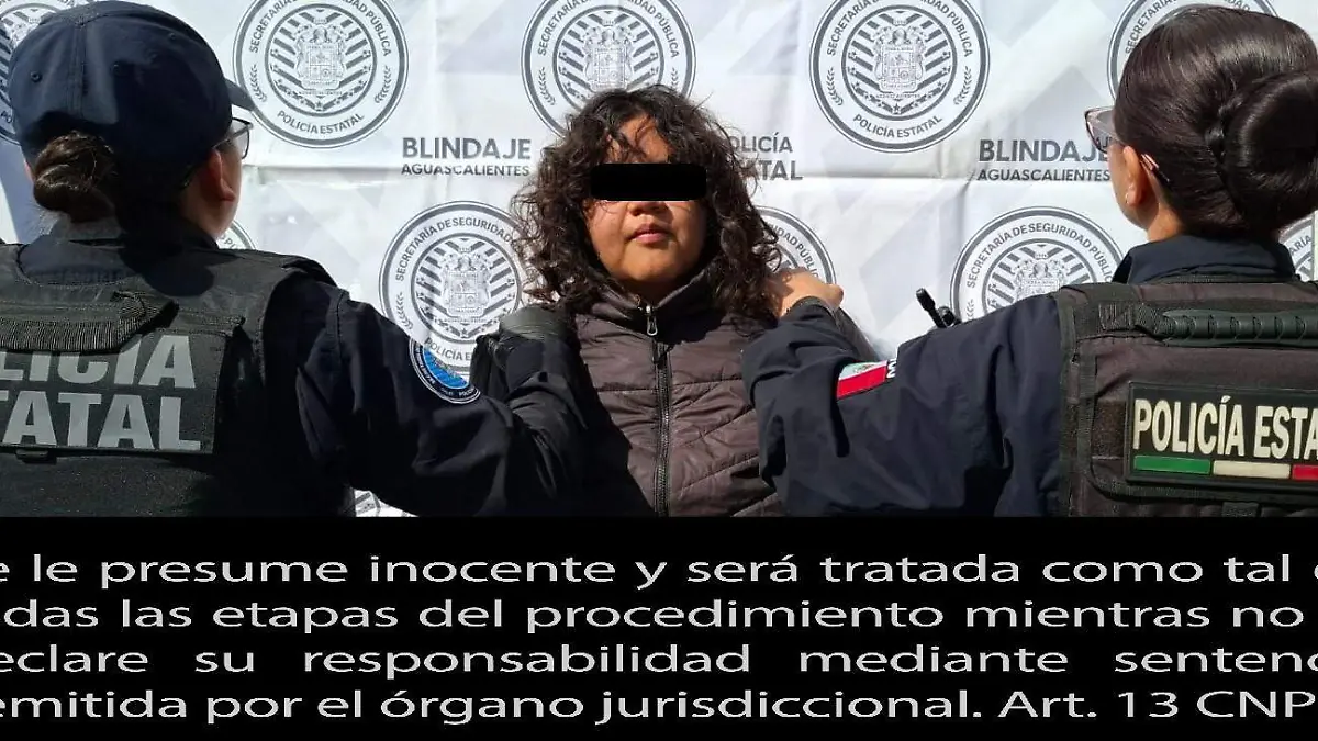 DELITOS-DETENIDA-VINCULACIÓN