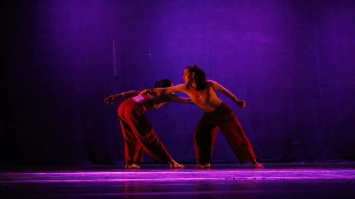 GUILLERMINA-CONVOCATORIA-DANZA