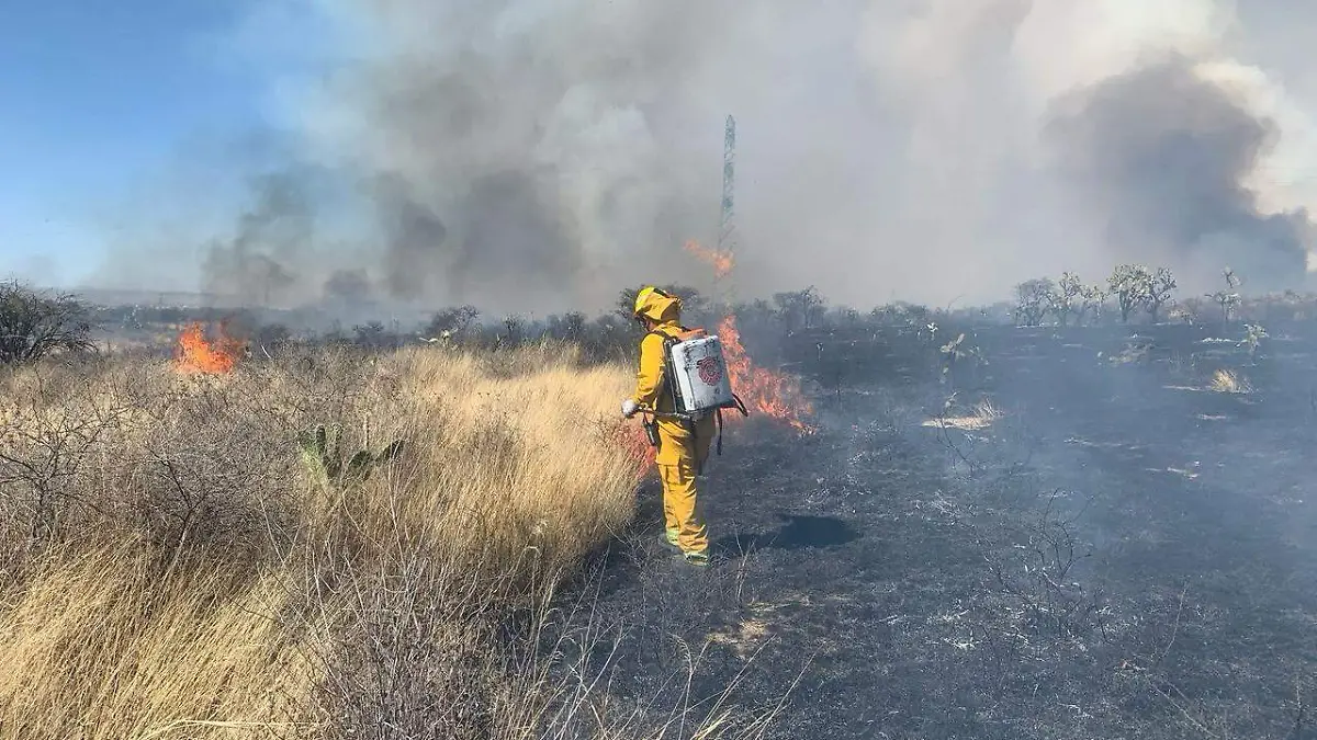INCENDIO PONA-INCENDIOS FORESTALES