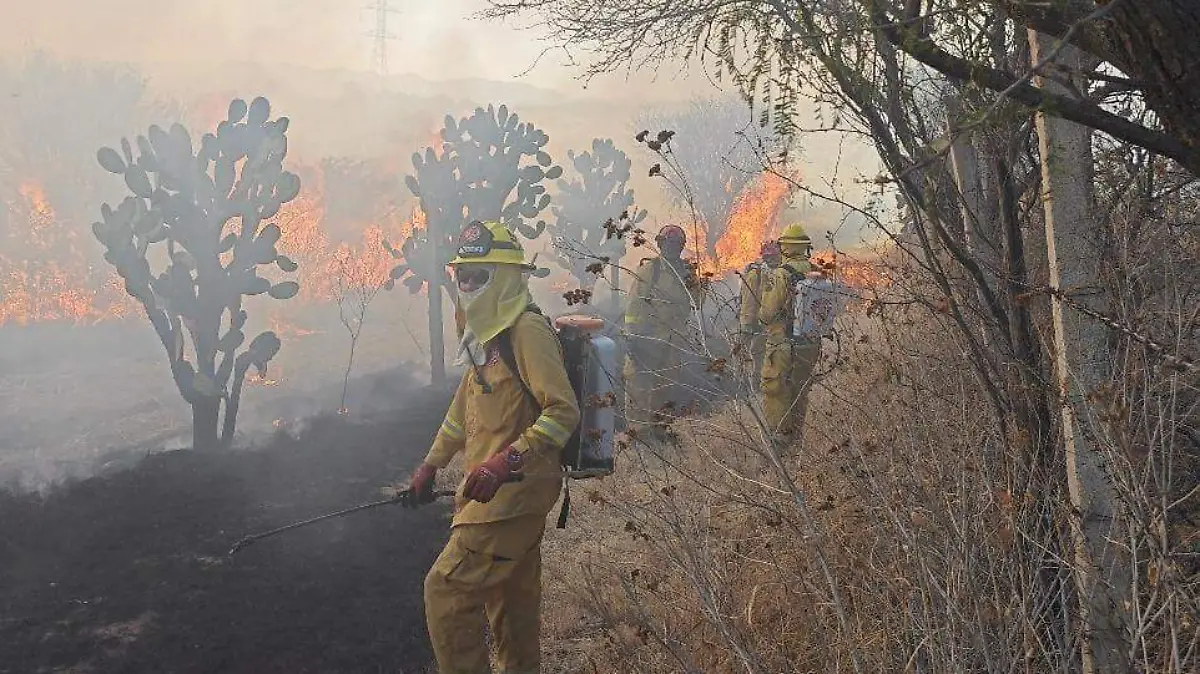 RELACIÓN INCENDIOS-PASTIZALES