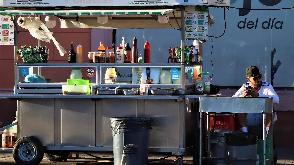 COMIDA CHATARRA-PUESTOS-COMIDA DE LA CALLE