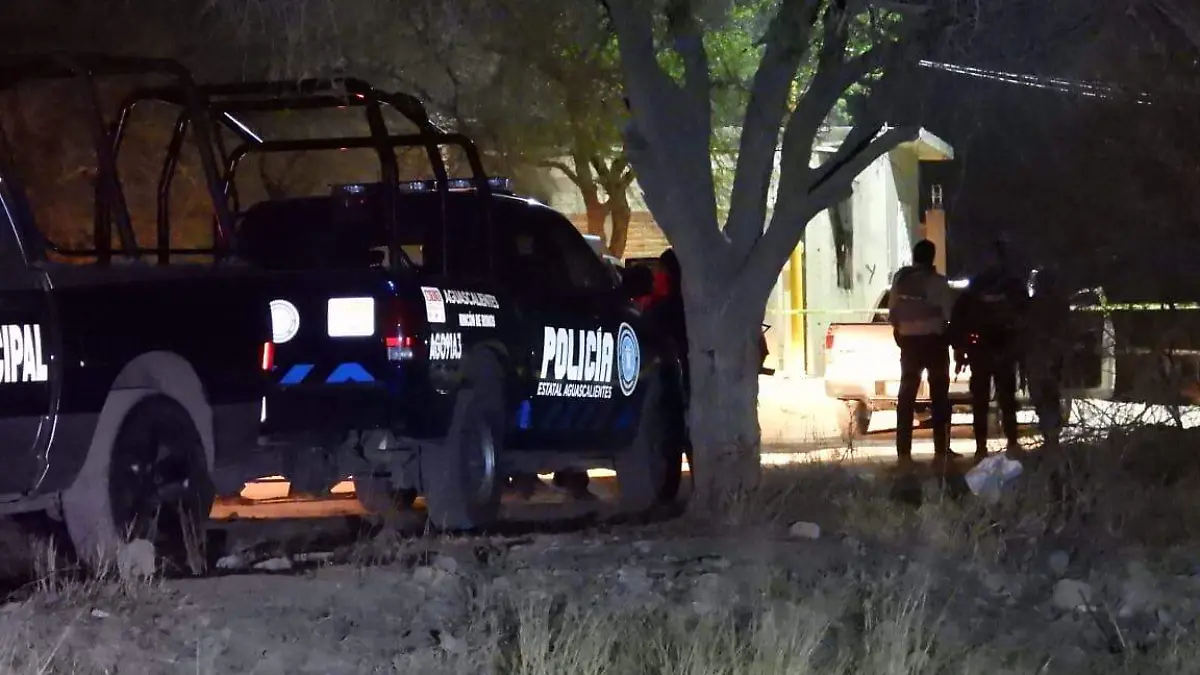 HOMICIDIO RINCÓN-CAMIONETA