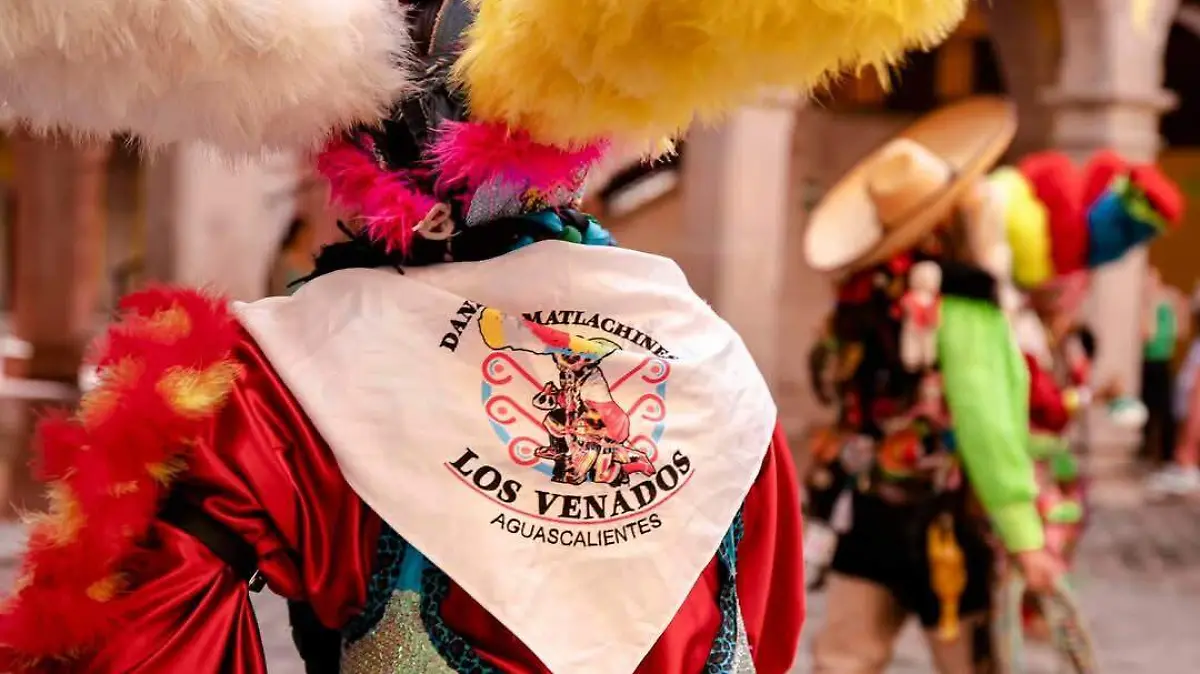 VENADOS 1