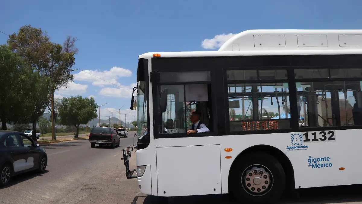 TRANSPORTE URBANO-AUTOBÚS-CAMIÓN