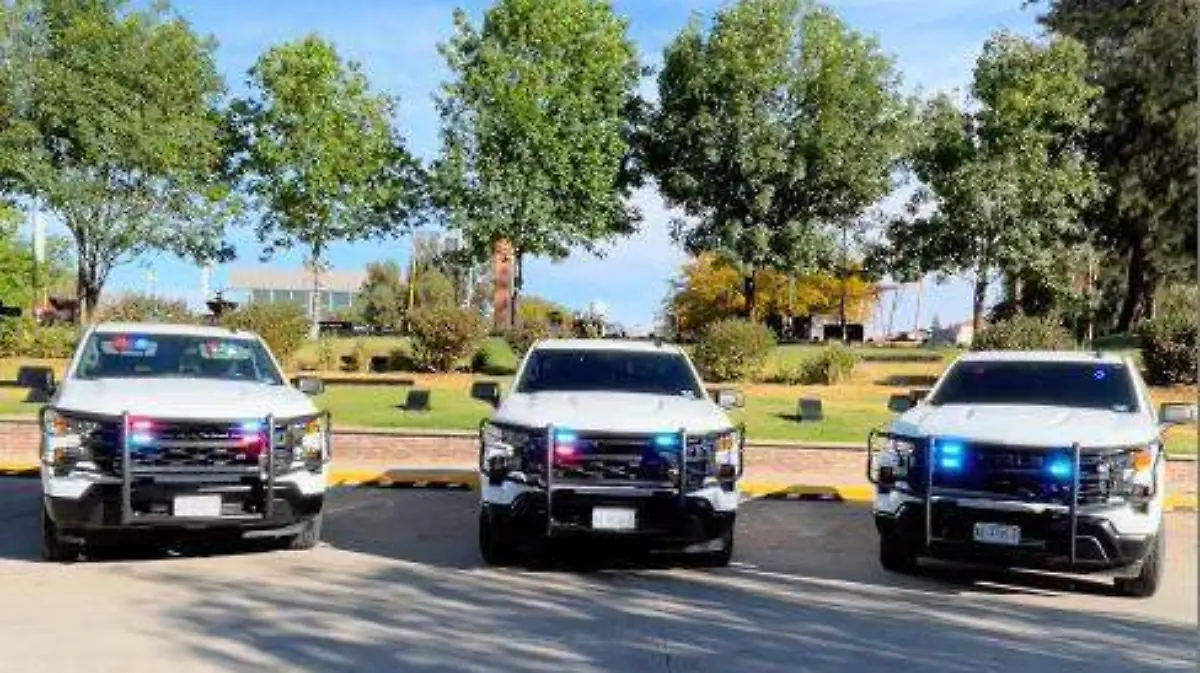 DETENIDOS-VINCULACION-ROBO