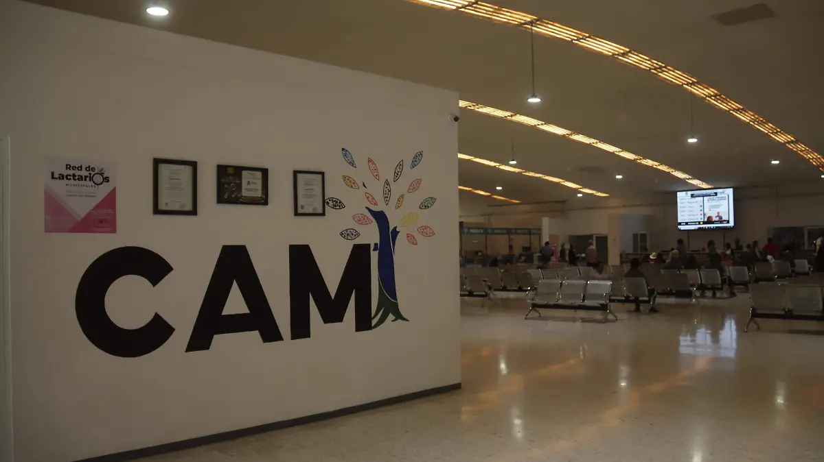 PAGO PREDIAL-JESUS MARÍA-IMPUESTO