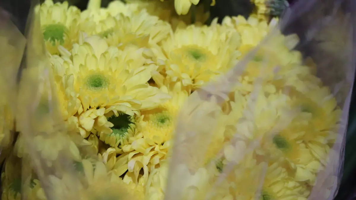 FLORES AMARILLAS-VENTAS-COMERCIANTES