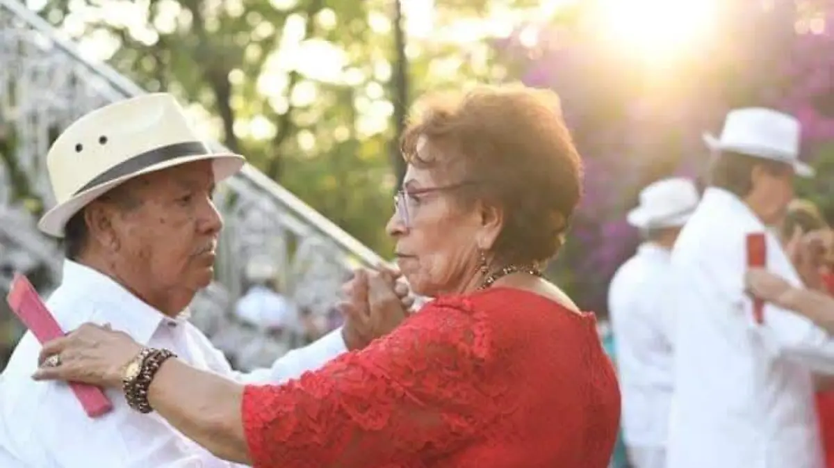 CULTURA-DANZA-CONCIERTOS