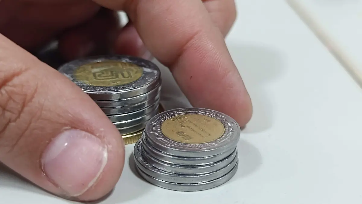 ECONOMIA DEL ESTADO_VIVIENDAS_MEXICANAS