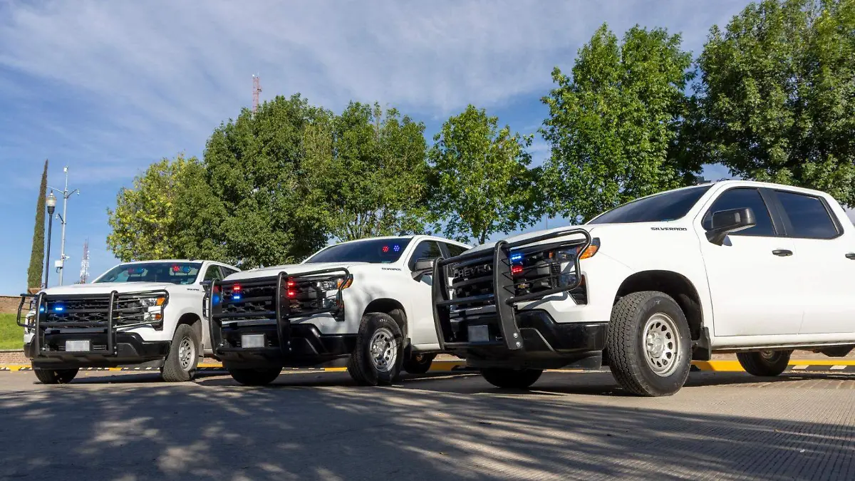 PRISIÓN PREVENTIVA-DELITOS