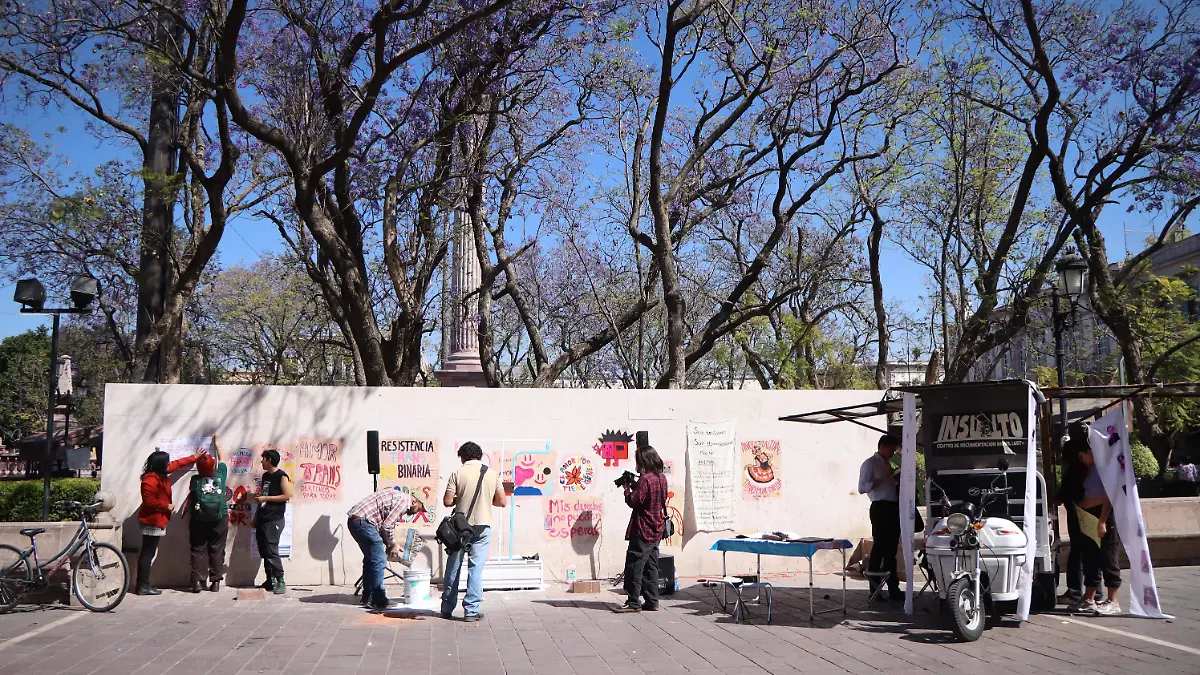 VISIBILIDAD TRANS-MENSAJES-ACTIVISTAS