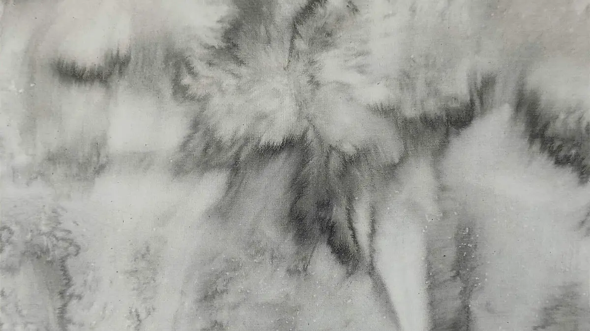 ENAJ-PREMIO-GANADORES