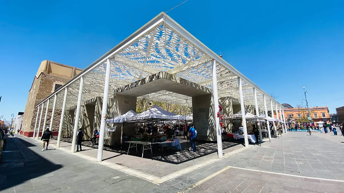 JACARANDAS-PORTAL DE JESÚS
