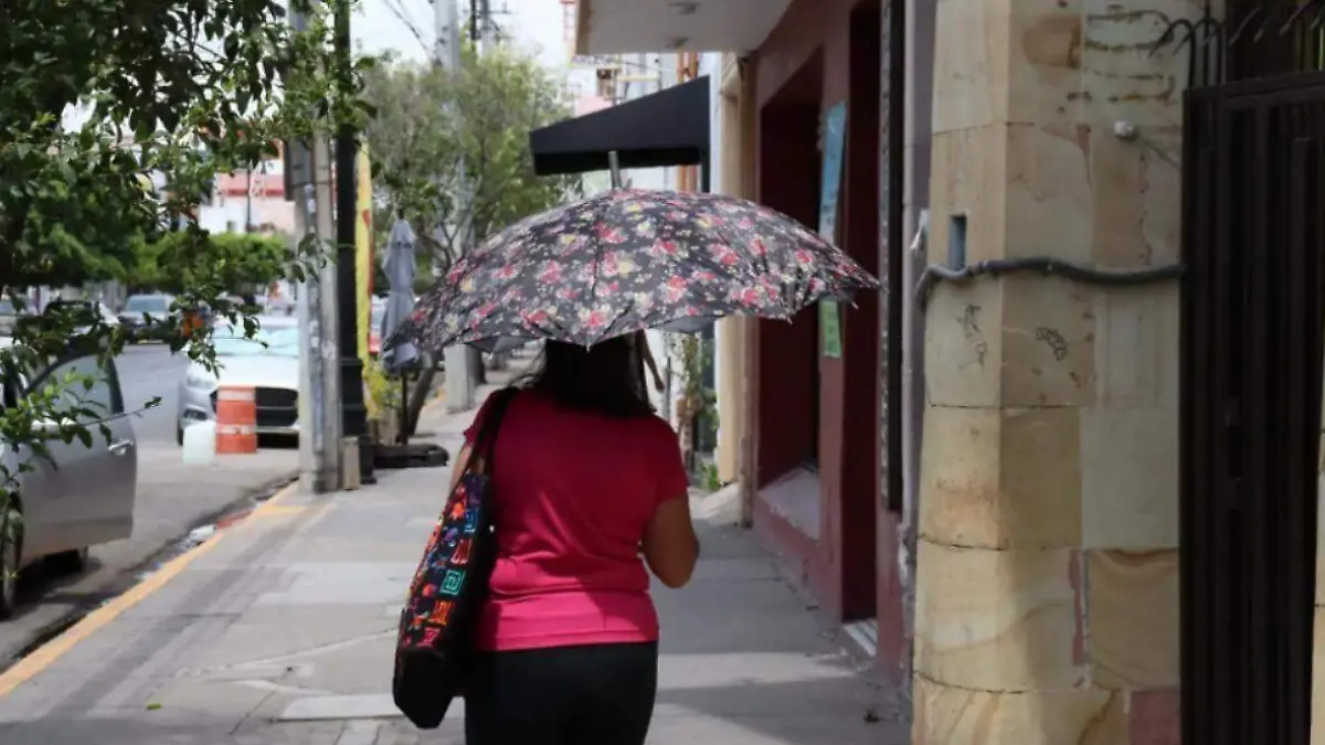 CALOR-TEMPERATURAS-VIENTO