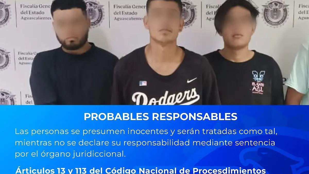 SEGUIMIENTO OPERATIVO-DETENIDOS