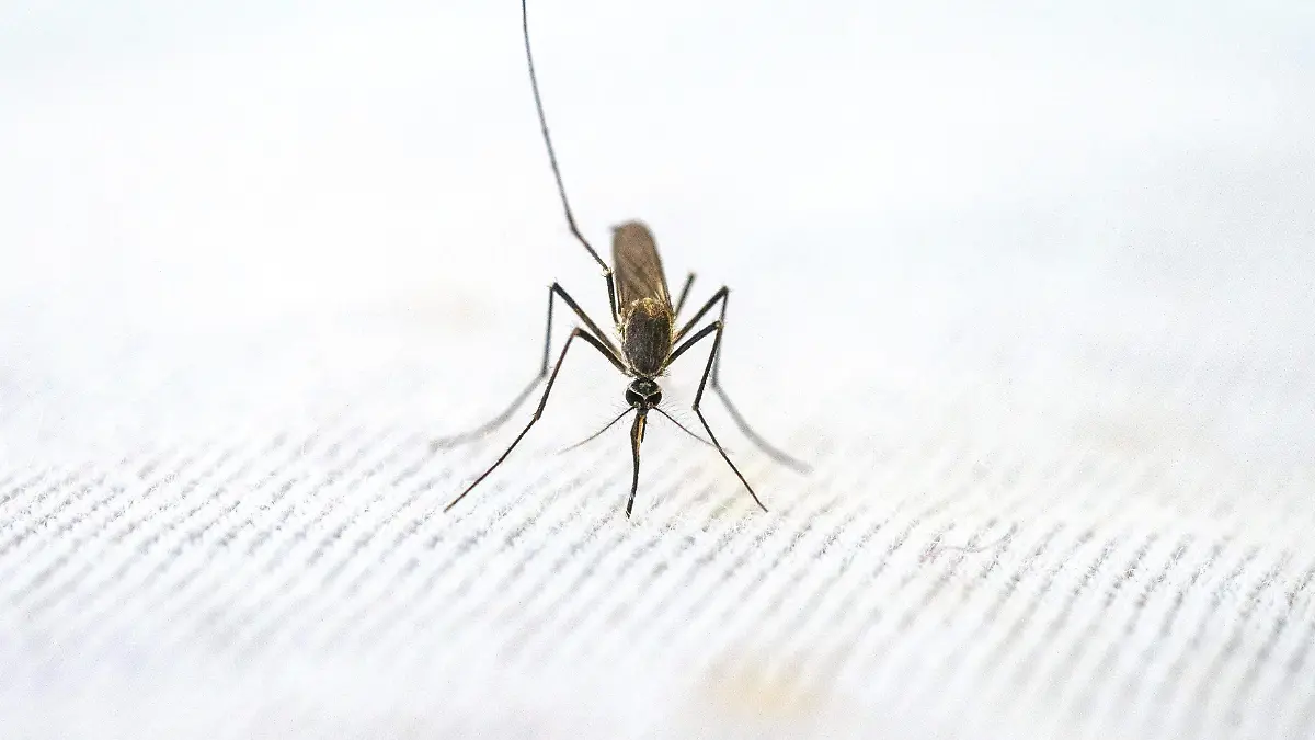 pexels-pragyan-bezbaruah-9891863