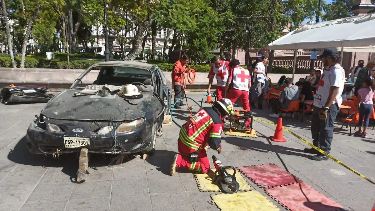 WhatsApp Image 2024-11-30 at 2.10.39 PM