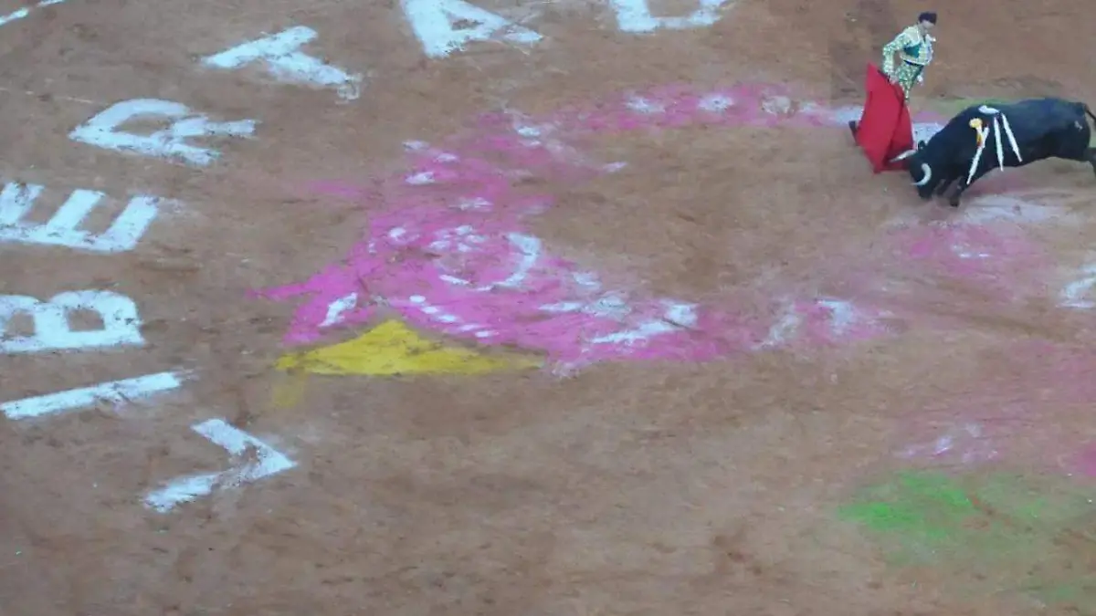 MARCHA ANTITAURINA-TOROS